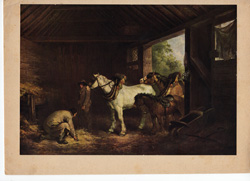 Fox hunting, polo and other horse prints